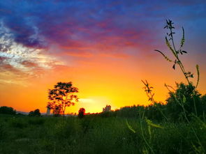 美图分享丨手机摄影 第769期 市场推广宣传